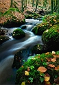 Paysage10_11_10 n02